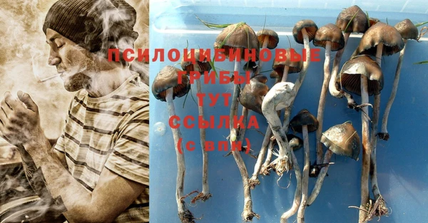 ешки Арсеньев